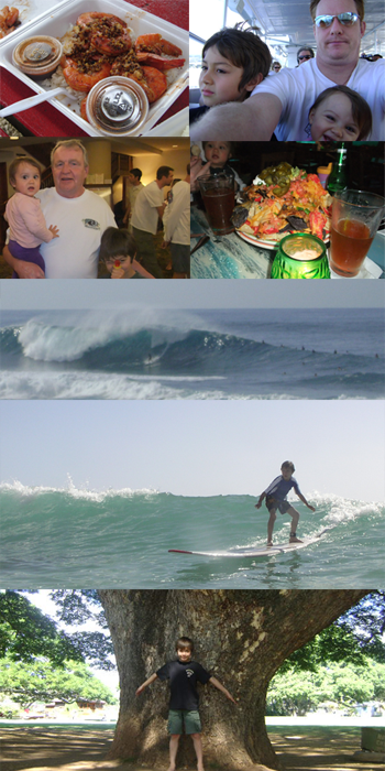 Hawaii Mix